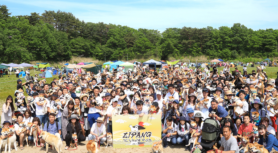 前売りチケット購入 Zipang 22 日本犬の祭典 前売りチケット購入 Zipang 22 日本犬の祭典