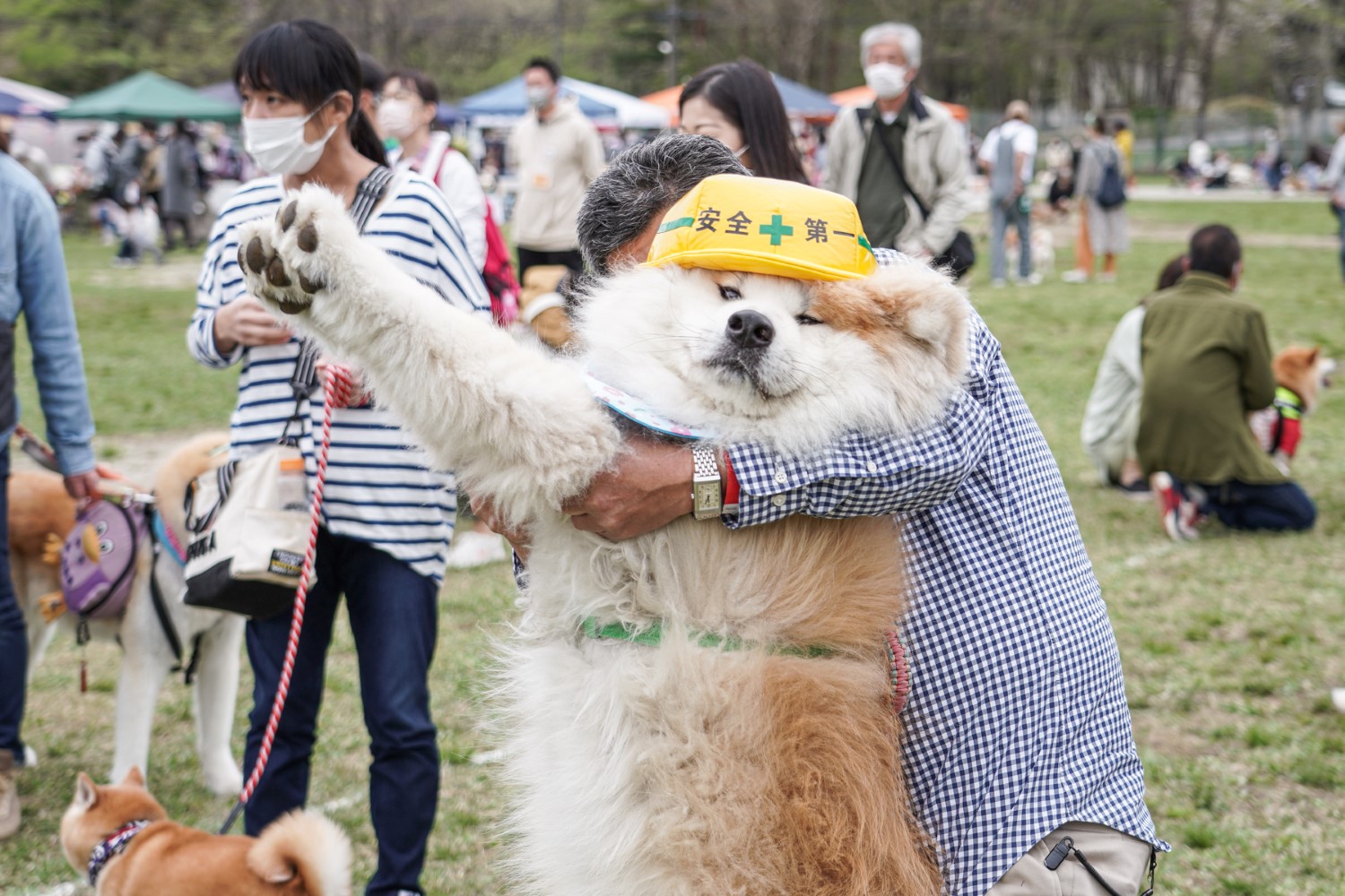 ゆかいな日本犬㉒