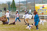 愛犬とリラックスドッグヨガ⑧