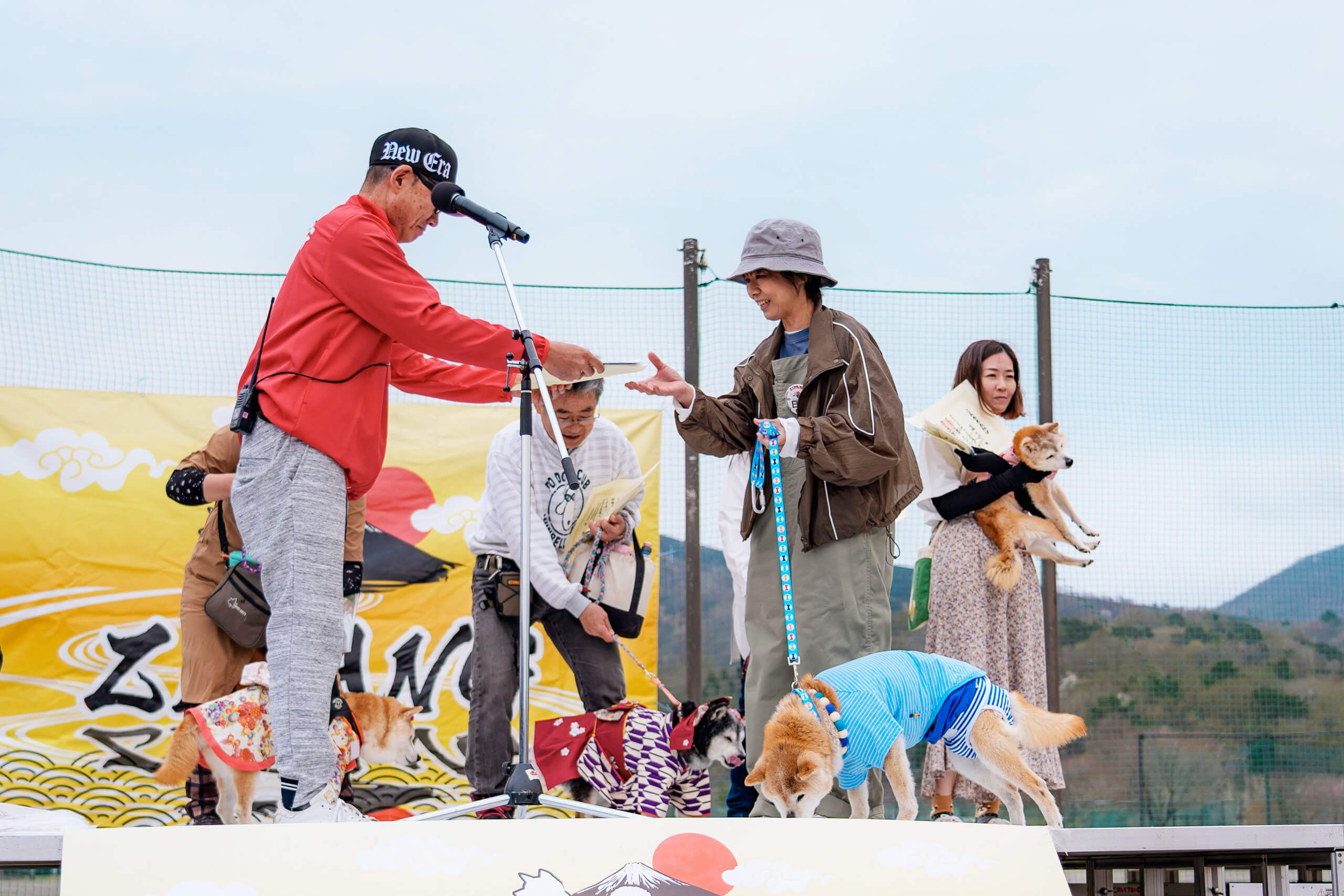 ご長寿犬画像