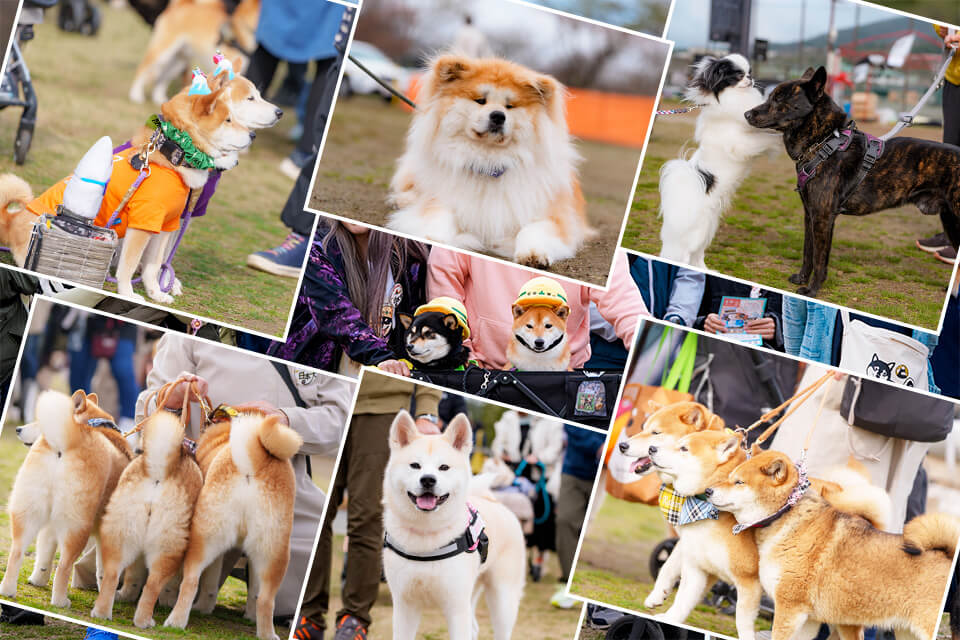 去年のイベントの様子